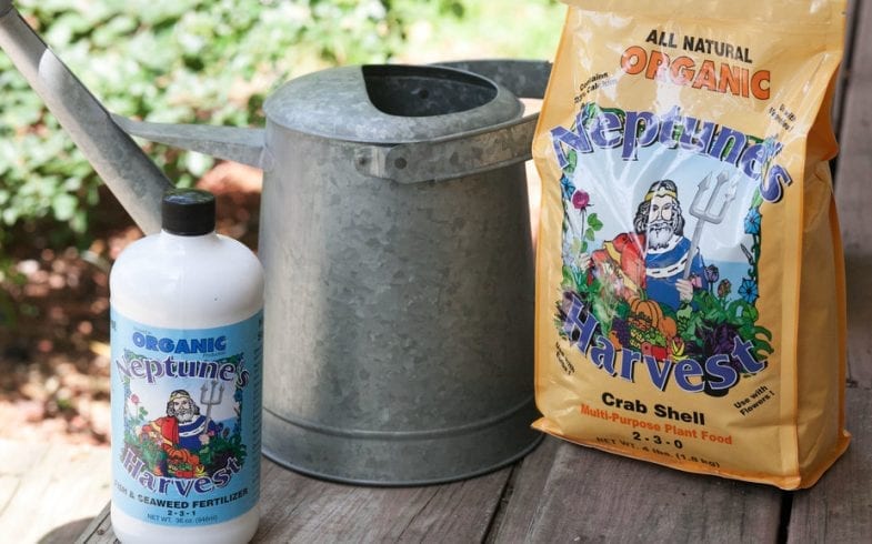 FEEDING YOUR PLANTS​