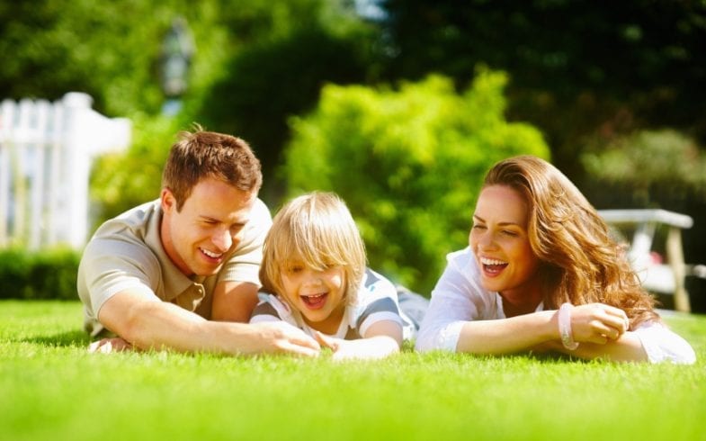 BUILD OR RENOVATE AN ORGANIC LAWN